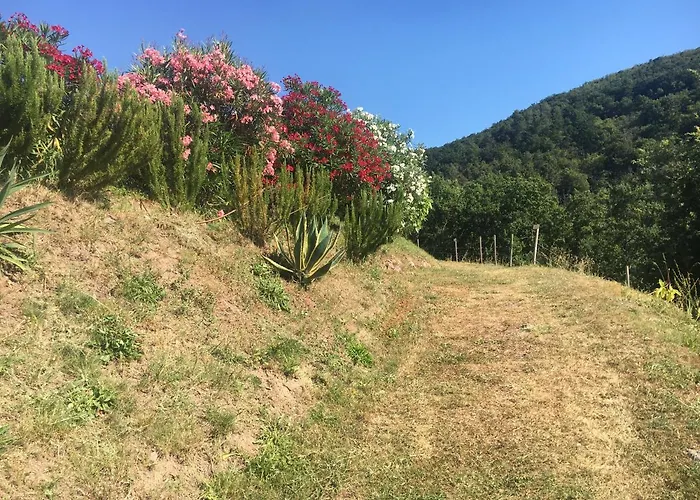 Cinque Terre, Tuscany, Liguria, #5 *